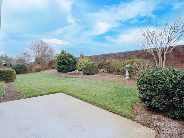 view of yard with a patio area