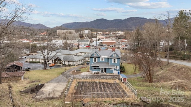 birds eye view of property featuring a mountain view