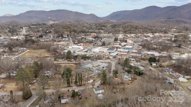 view of mountain feature