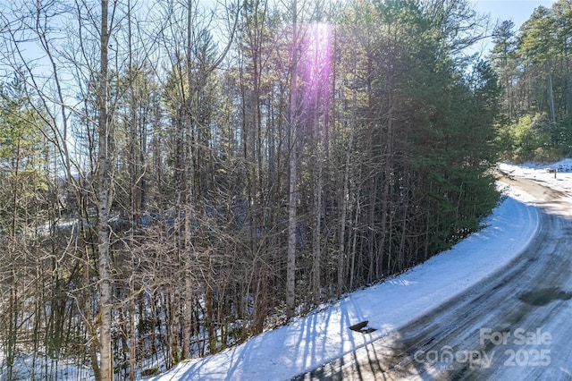 Listing photo 2 for TBD Camptown Rd Unit M139, Brevard NC 28712