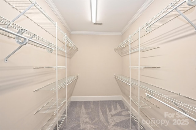 spacious closet featuring carpet