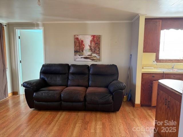 living room with sink, ornamental molding, and light wood-type flooring