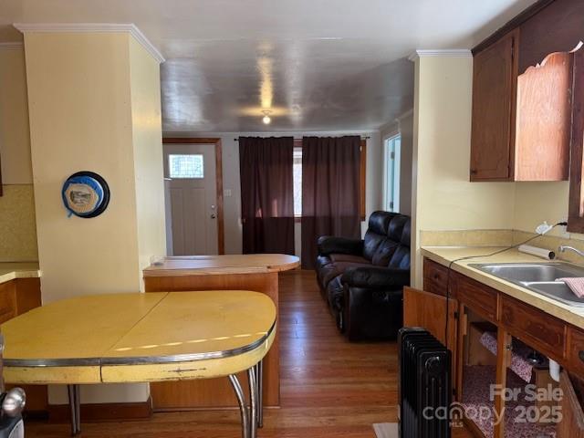 living room featuring dark hardwood / wood-style flooring, ornamental molding, and sink