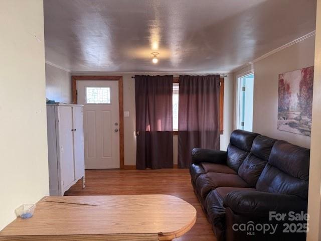 living room featuring wood-type flooring and ornamental molding