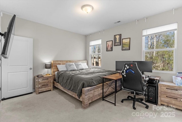 bedroom featuring multiple windows and light carpet