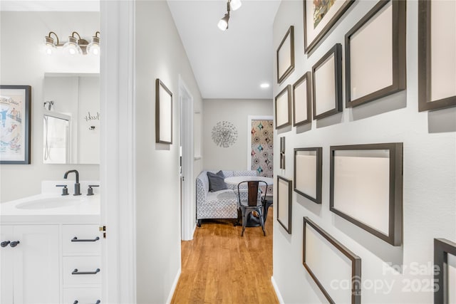 bathroom with wood-type flooring and vanity