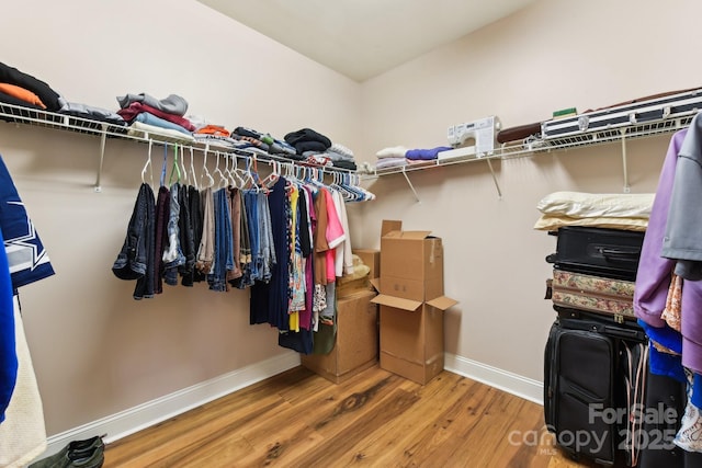 walk in closet with wood-type flooring