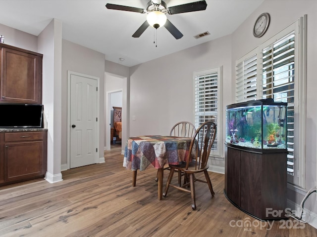 416 Zelkova St, York, SC 29745 - photo 19