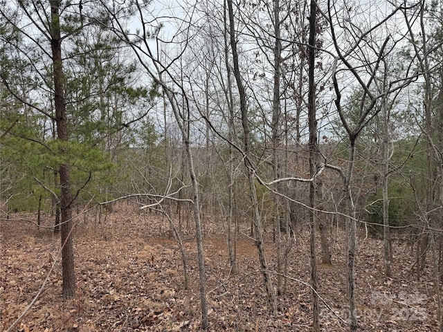 00 Stonecrest Pkwy, Mill Spring NC, 28756 land for sale