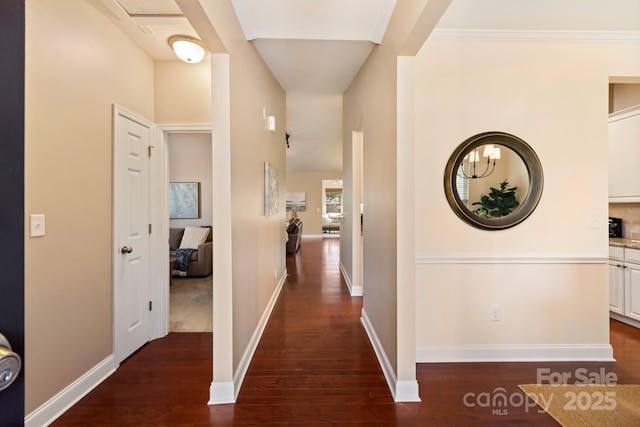 hallway featuring dark wood-type flooring and crown molding