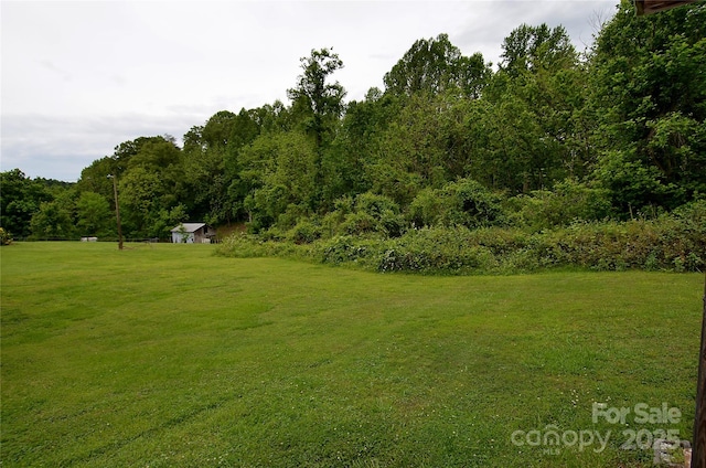 view of grassy yard