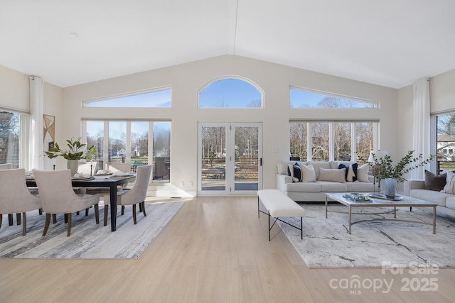 living room featuring a healthy amount of sunlight, light wood-type flooring, and high vaulted ceiling