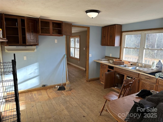 kitchen with a healthy amount of sunlight, light wood-type flooring, and sink