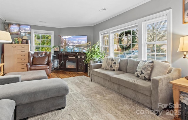 living room with ornamental molding and hardwood / wood-style flooring