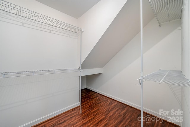 walk in closet featuring dark hardwood / wood-style flooring