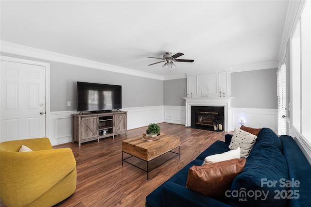 living room with ceiling fan, a large fireplace, dark wood-type flooring, and ornamental molding