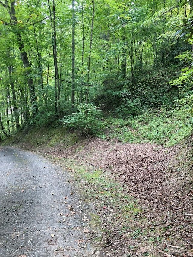 Listing photo 3 for 00 Laurel Dr Lot 12, Whittier NC 28789