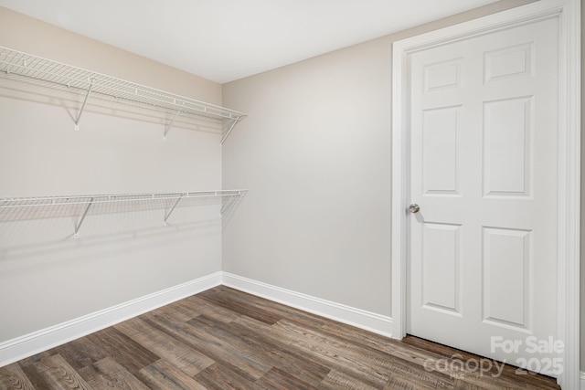 walk in closet featuring dark hardwood / wood-style floors