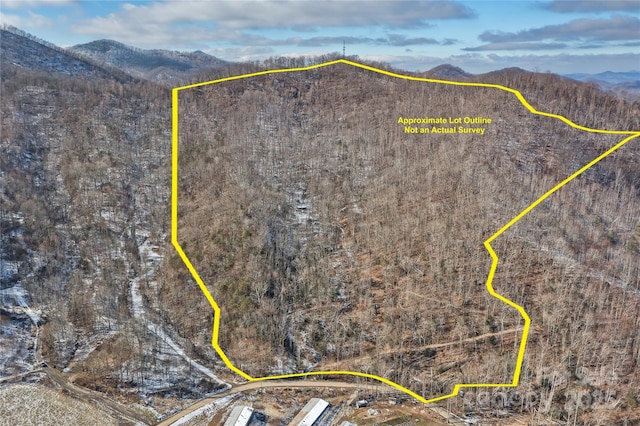 183 Stoney Fork Rd, Barnardsville NC, 28709 land for sale