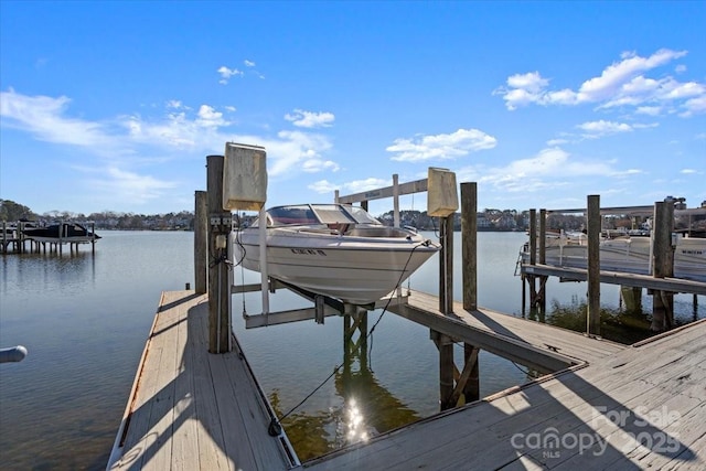 dock area with a water view