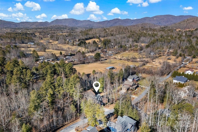 bird's eye view with a mountain view