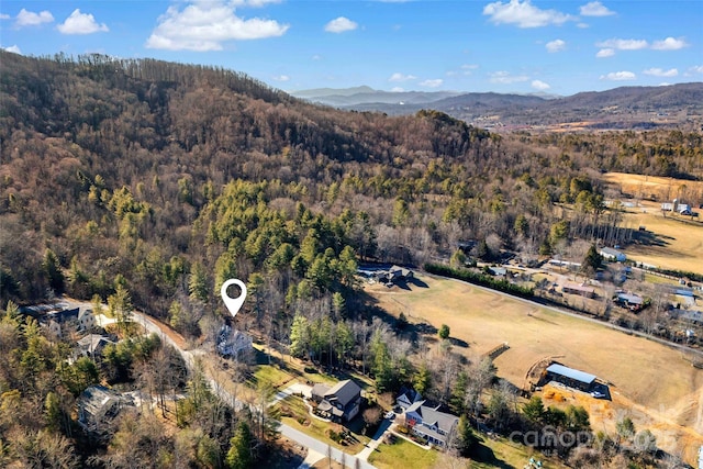 birds eye view of property featuring a mountain view