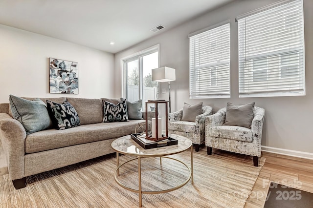 living room featuring hardwood / wood-style floors