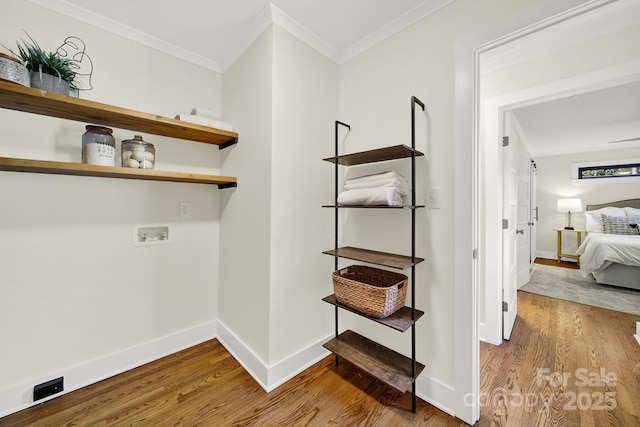 washroom with wood-type flooring, ornamental molding, and washer hookup