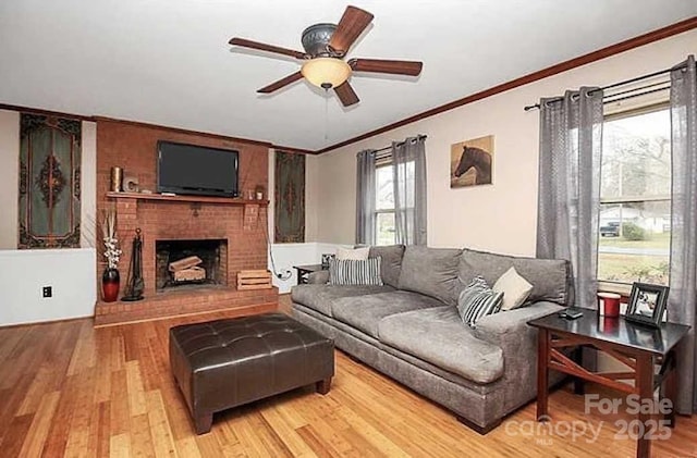 living room with ceiling fan, a fireplace, crown molding, and light hardwood / wood-style flooring