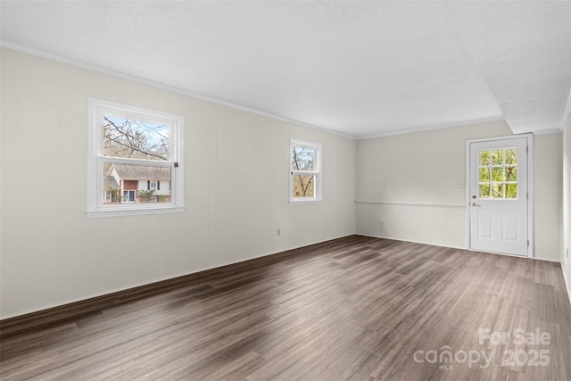 unfurnished room with dark hardwood / wood-style floors, a textured ceiling, and a healthy amount of sunlight