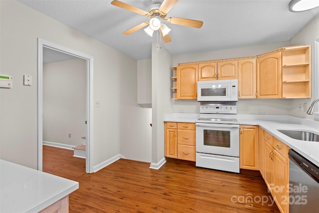 kitchen with light wood-type flooring, sink, white appliances, ceiling fan, and light brown cabinetry