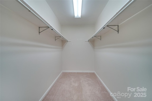 walk in closet featuring light colored carpet