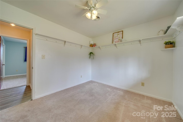 spacious closet featuring light carpet and ceiling fan