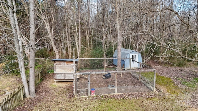 view of yard featuring a shed