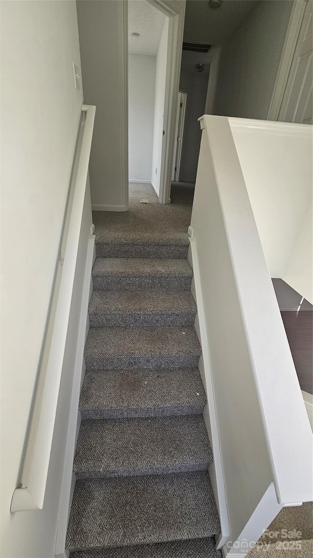 stairs with carpet floors