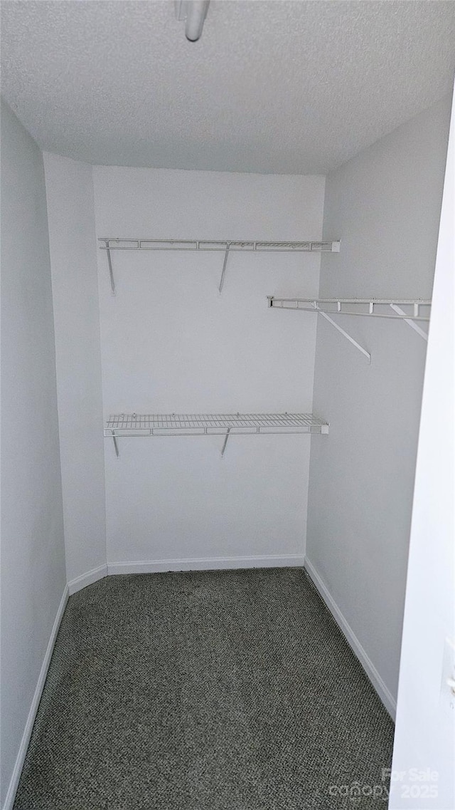 spacious closet with dark carpet