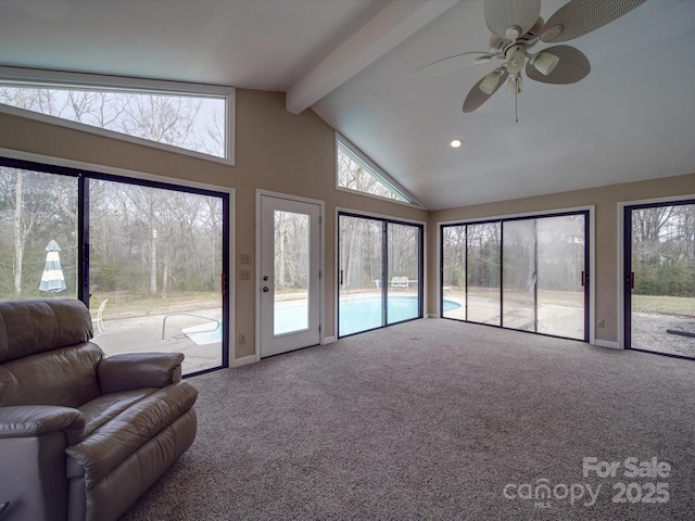 living room featuring ceiling fan, high vaulted ceiling, beamed ceiling, and carpet flooring