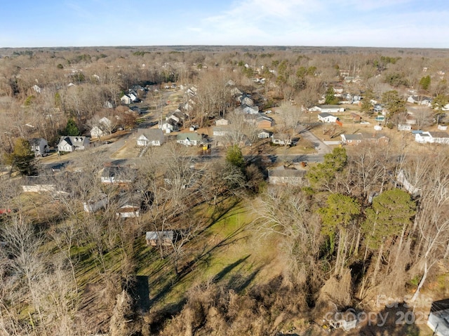 bird's eye view