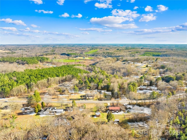 bird's eye view