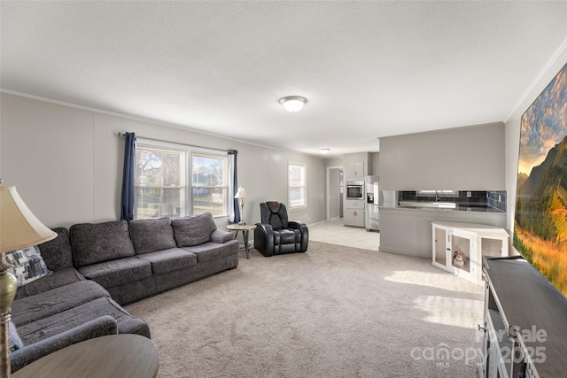 living room with light colored carpet, ornamental molding, and a textured ceiling