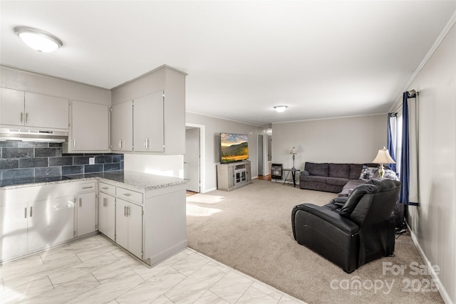 kitchen with decorative backsplash, light colored carpet, light stone counters, and crown molding