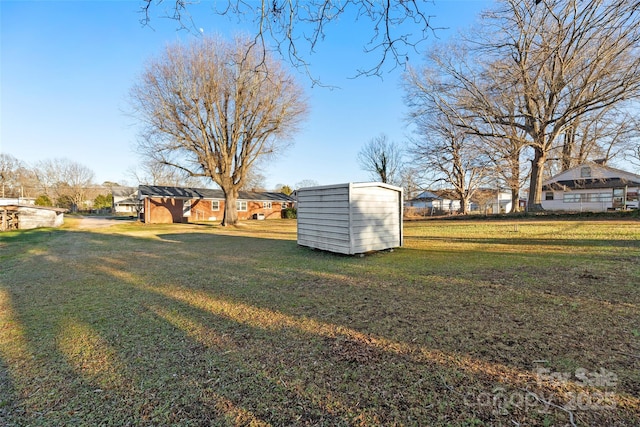 view of yard featuring a shed