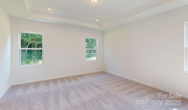 carpeted spare room with plenty of natural light and a tray ceiling