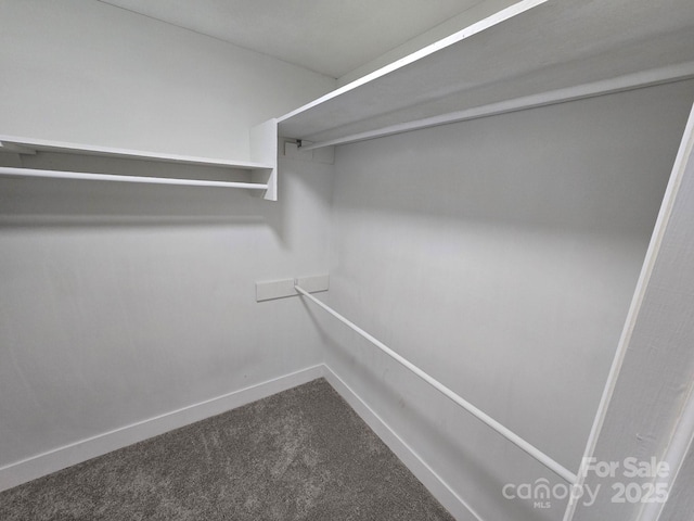 walk in closet featuring carpet