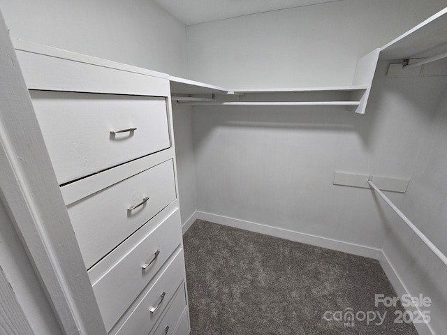 spacious closet featuring dark carpet