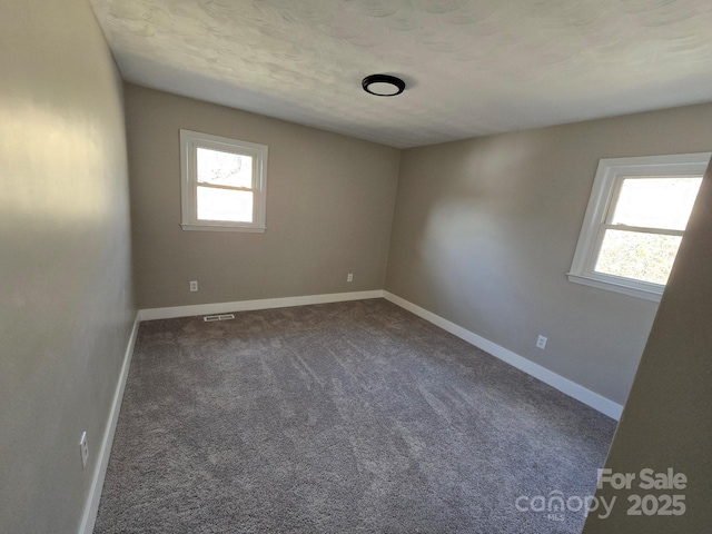 unfurnished room with a textured ceiling, carpet, and a wealth of natural light