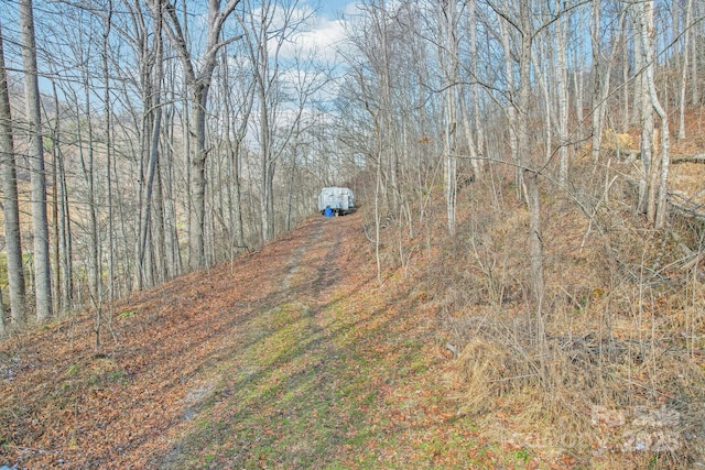 LOT4 Cloudy Hill Dr Lot 4, Clyde NC, 28721 land for sale