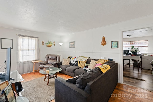 living room featuring a textured ceiling and hardwood / wood-style flooring