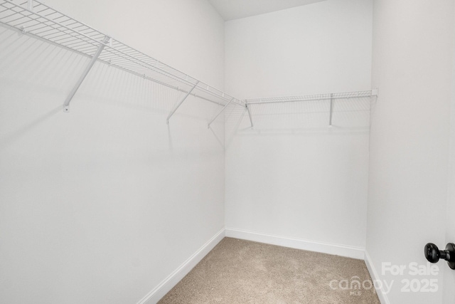 walk in closet with carpet