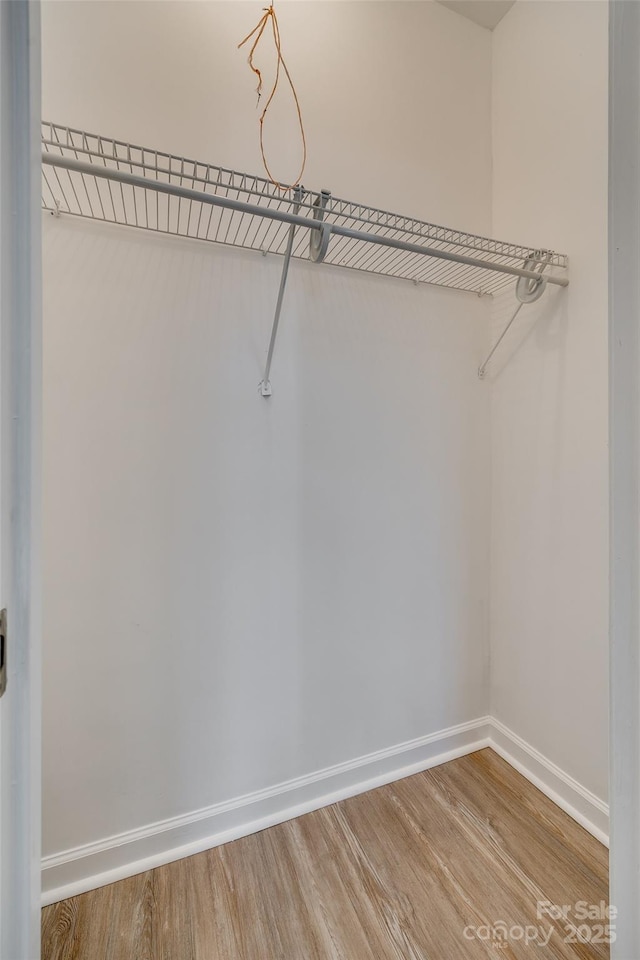 spacious closet featuring wood-type flooring